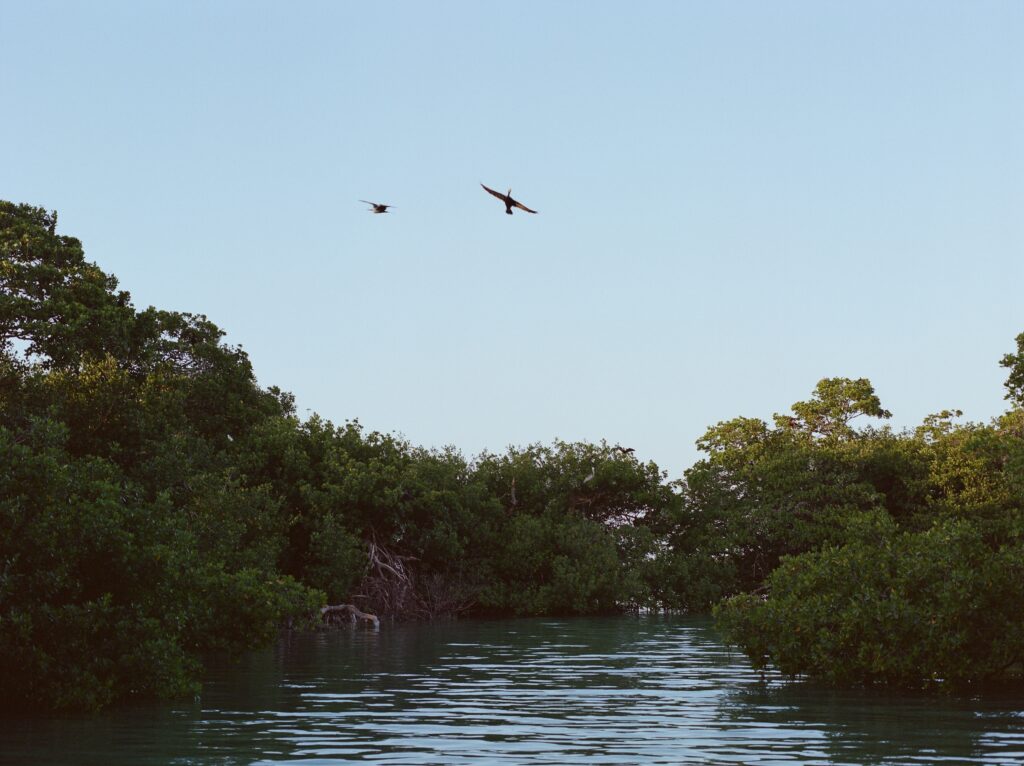 Islamorada Family Vacation Private Charter Sunset Boat Tour Madalyn Yates Creative