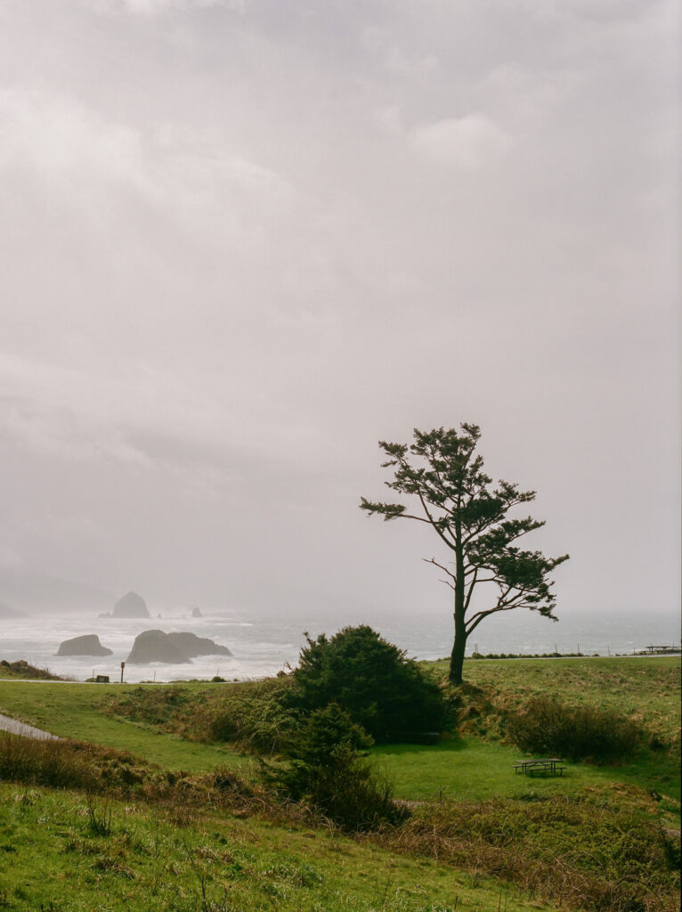 Pacific North West Travel Photography Photo of Ecola State Park where scenes from the Goonies are filmed